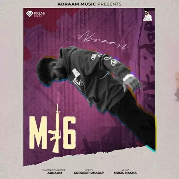 M16 Cover