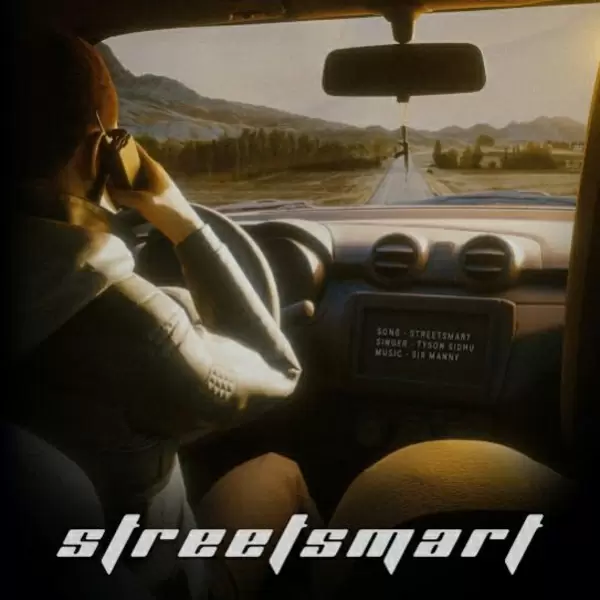 Street Smart Cover