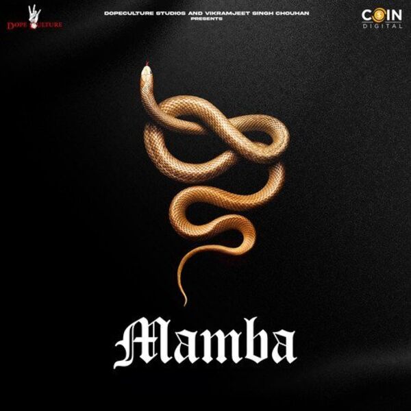 Mamba Cover