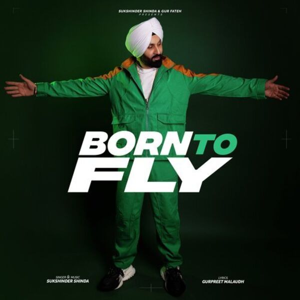 Born To Fly Cover