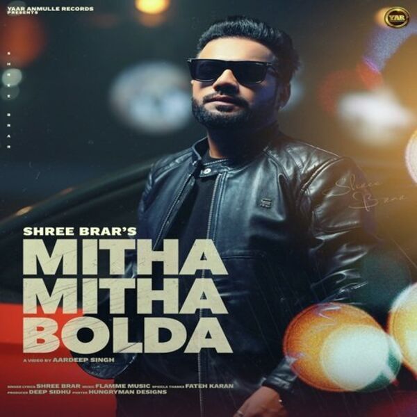 Mitha Mitha Bolda Cover