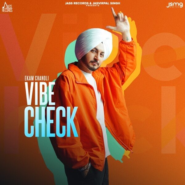 Vibe Check Cover