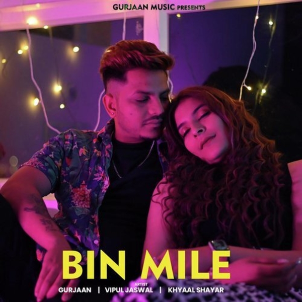 Bin Mile Cover