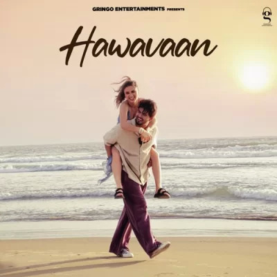 Hawavaan Cover