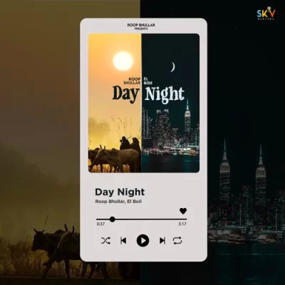 Day Night Cover