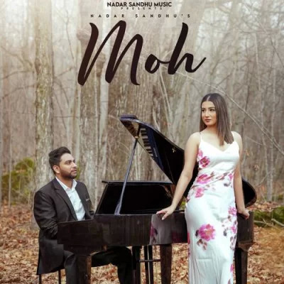 Moh Cover