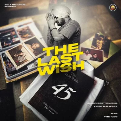 The Last Wish Cover