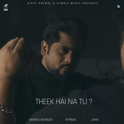 Theek Hai Na Tu Cover