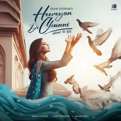 Heereyan Di Chunni Cover