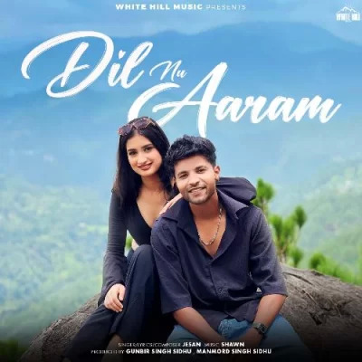 Dil Nu Aaram Cover