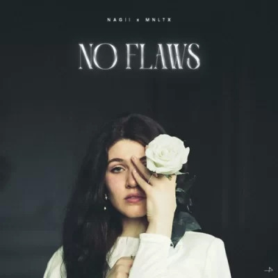 No Flaws Cover