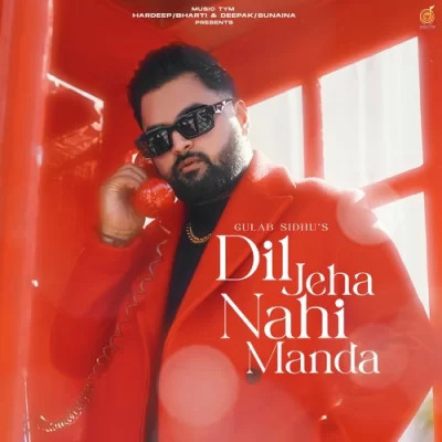 Dil Jeha Nahi Manda Cover