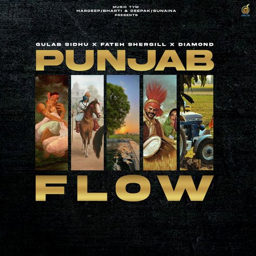 Punjab Flow Cover