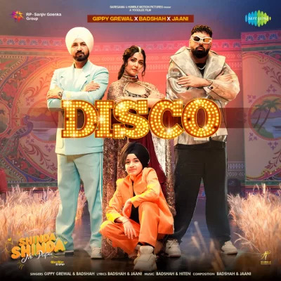 Disco Cover