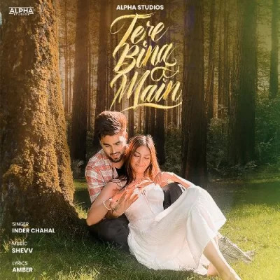 Tere Bina Main Cover