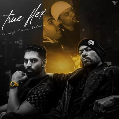 True Flex Cover