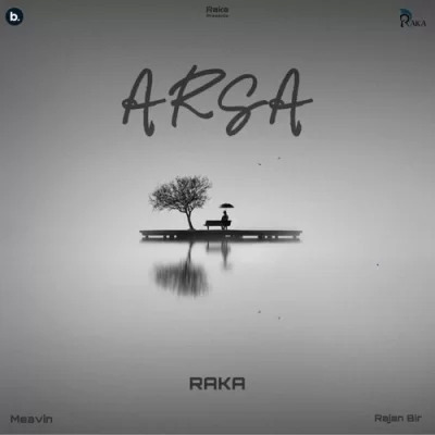 Arsa Cover