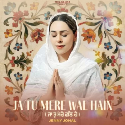 Ja Tu Mere Wal Hain Cover