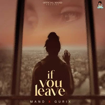 If You Leave Cover