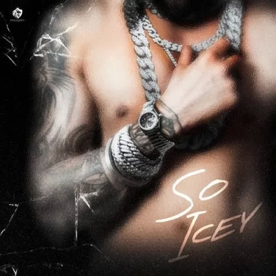 So Icey Cover