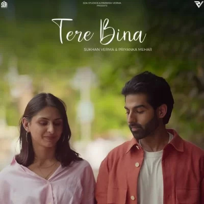 Tere Bina Cover