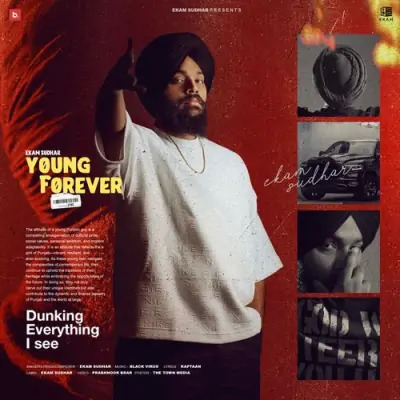 Young Forever Cover