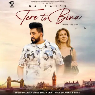 Tere To Bina Cover