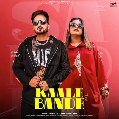 Kaale Bande Cover