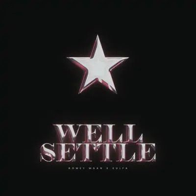 Well Settle Cover